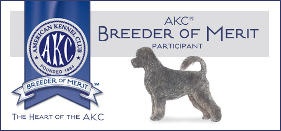 AKC Breeder of Merit