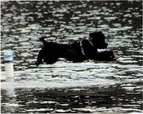 Bo'sun overboard retrieve